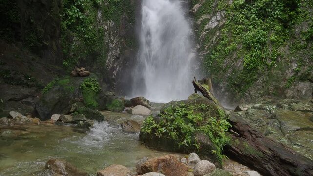 Waterfall 357 and nature in the lush forest