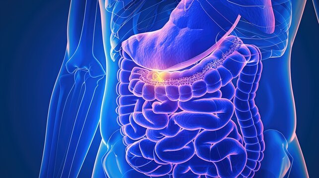 Pancreatic Cyst: Types, Diagnosis, and Treatment Approaches in Pancreatic Pathology