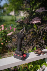 Gardener's set in the form of various pruning shears. Garden tools for pruning plants. Garden...