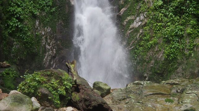 Waterfall 357 and nature in the lush forest