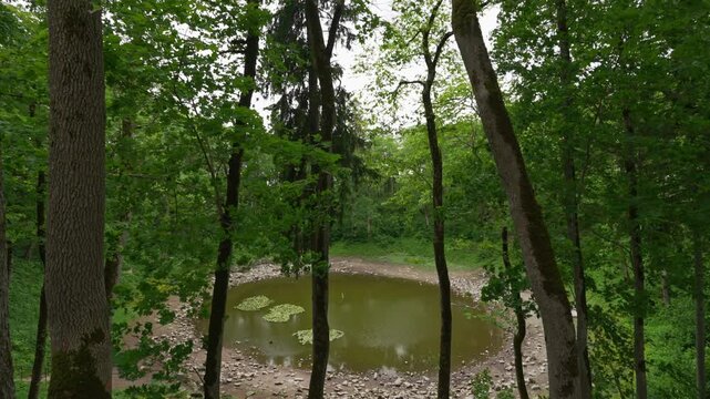 Scenic meteorite crater lake Kaali surrounded by forested terrain.