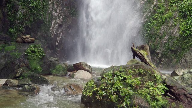 Waterfall 357 and nature in the lush forest