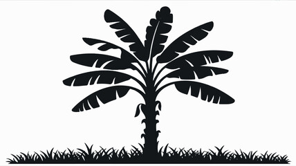 Naklejka premium Minimalist black and white silhouette of a banana tree on a clean white background