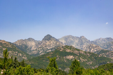 Monte d’Oro peak and forested slopes, France, Corsica, Monte d’Oro, 14 June 2025