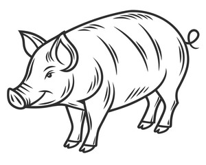 Fototapeta premium Farm Animal Pig Sketch Illustration Vector Artwork Design Element