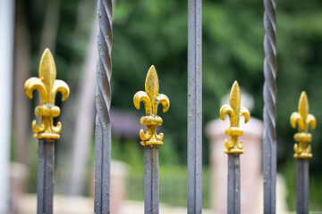 Detailed view of golden fleur-de-lis finials on a wrought iron fence with a blurred green background, combining elegance and security
