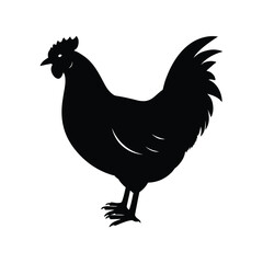 Black silhouette of a chicken standing on a white background