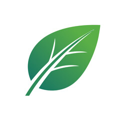 Green Leaf Illustration Graphic with White Veins Depicting Nature Symbolism