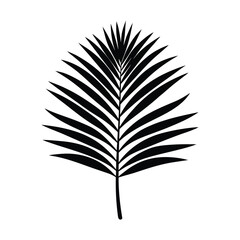 Minimalist black silhouette of a palm leaf on a white background
