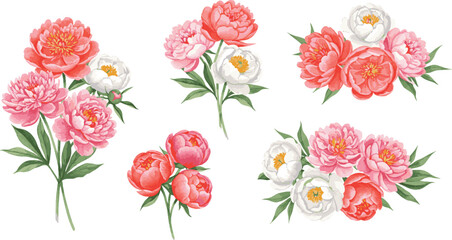 Set of watercolor flowers isolated on white background. Hand-drawn in watercolor set  illustration.