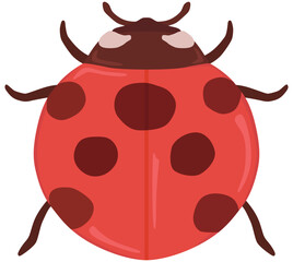 てんとう虫のイラスト ベクター素材