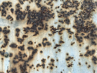 Heavily rusted metal surface with flaked corrosion and pitted textures, revealing the raw effects...