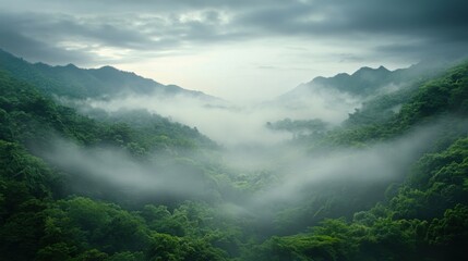 Obraz premium Scenic View of Lush Green Mountains with Mist and Clouds in Valley