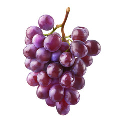 Fototapeta premium Cluster of Fresh Purple Grapes Isolated on White Background