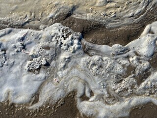 Foamy seawater spreading over wet sand with scattered natural debris—captures coastal textures...