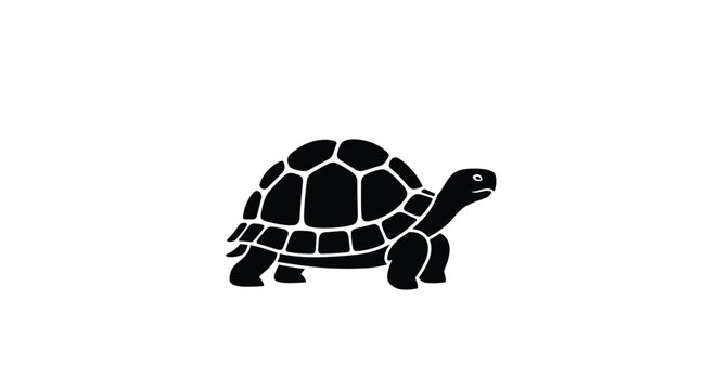 An illustrated outline of a tortoise moving slowly through a white background