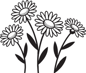 Obraz premium Simple hand drawn black and white illustration of a cluster of daisies on stems