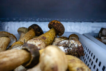 Fresh Mushrooms in a Basket, Displaying Their Natural Texture and Color