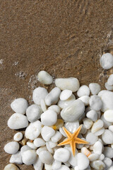 Starfish and White Pebbles on Shoreline with Gentle Waves , Beach Texture Background