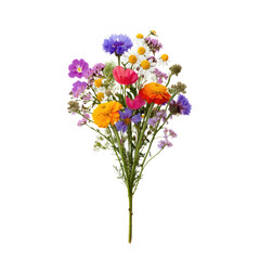 Fototapeta premium Vibrant Wildflower Bouquet with Colorful Blossoms and Green Stems Against White Background