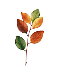 Watercolor illustration of autumn branch with colorful leaves in warm shades of green, orange, yellow. for seasonal decor, greeting cards, scrapbooking, graphic design on autumn theme.
