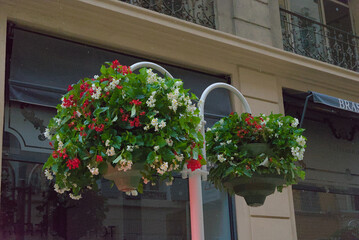 Two large hanging baskets brimming with vibrant red and white flowers and green foliage, suspended...