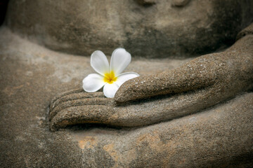 Close-up of the hand of a Buddha statue with a magnolia flower in a temple in Thailand, Asia