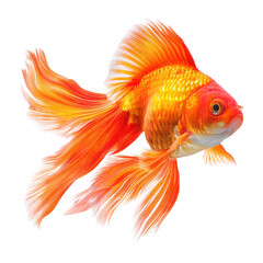Vibrant Orange Goldfish with Flowing Fins and Bright Scales Swimming Gracefully in a Clear Aqua Environment