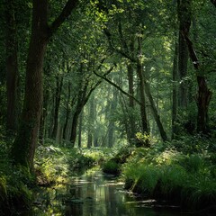 Obraz premium Lush Green Forest with Towering Trees