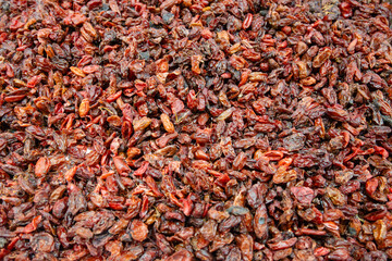 A Close-Up View of Dried Fruits