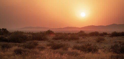 Vibrant sunset over a summer desert landscape with red sun Generative AI