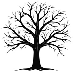 Obraz premium Bare Tree Silhouette