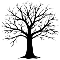Obraz premium Bare Tree Silhouette