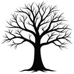 Fototapeta premium Bare Tree Silhouette