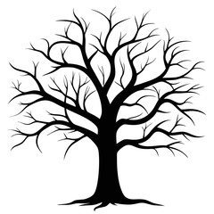 Obraz premium Bare Tree Silhouette