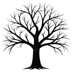 Obraz premium Bare Tree Silhouette