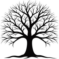 Obraz premium Bare Tree Silhouette