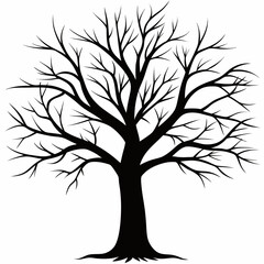 Obraz premium Bare Tree Silhouette