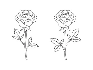 Two identical line drawings of single roses on stems with leaves, presented side-by-side.
