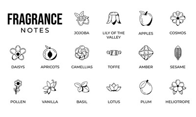 Notes fragrance icon set, notes perfume icon set,  notes ingredients icon set, hand drawn icon set design
