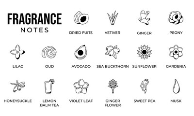 Notes fragrance icon set, notes perfume icon set,  notes ingredients icon set, hand drawn icon set design