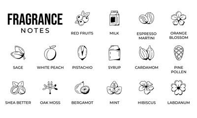 Notes fragrance icon set, notes perfume icon set,  notes ingredients icon set, hand drawn icon set design