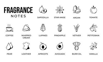 Notes fragrance icon set, notes perfume icon set,  notes ingredients icon set, hand drawn icon set design