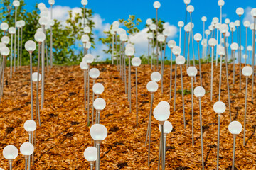  a large cluster of garden ground lights. street led light. decorative lighting in the garden. decorative ground lights in the park. 