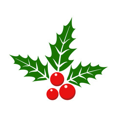 Christmas holly berry leaves on white background.