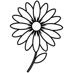 white flower on black background