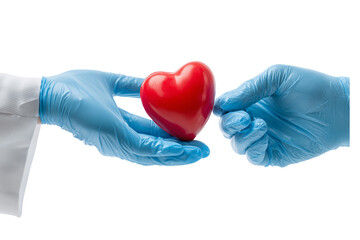 Gloved Hands Holding Red Heart on Transparent Background