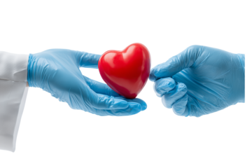 Gloved Hands Holding Red Heart on Transparent Background
