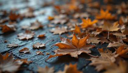 Autumn Maple Leaves Fallen on Dark Wet Wood Surface, Moody Seasonal Backdrop