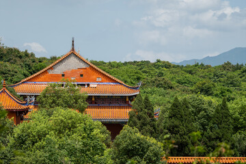 Fototapeta premium Ancient Architecture Nestled in the Mountains and Forests